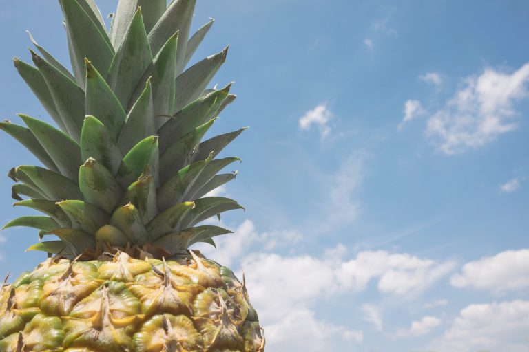 Évente több millió tonna ananászt kidobunk, pedig akár szigetelőanyag is lehetne