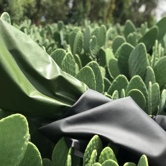 Desserto: új kaktuszbőr anyag, a fenntarthatatlan állati eredetű helyett