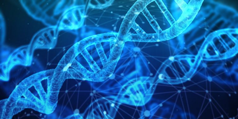 Működőképes DNS-alapú számítógépet építettek