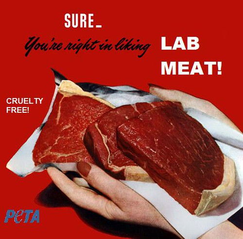 Hogyan készül a laboratóriumban növesztett hús és mikor ehetünk végre belőle?
