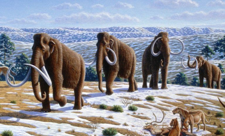 Egy igazán szomorú történet az utolsó mamutokról a földön