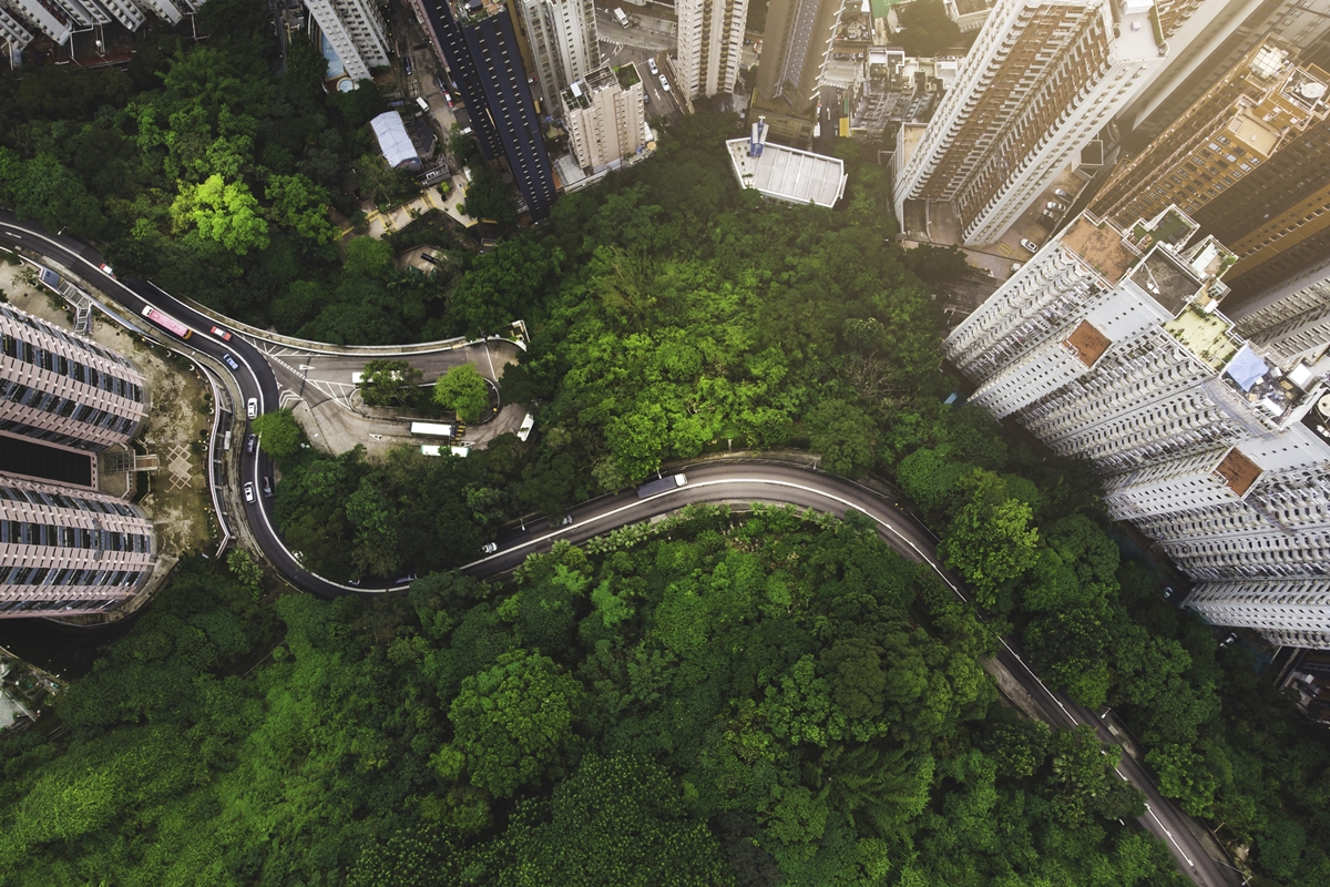 A jövő városainak nem az emberekről, hanem a fákról kellene szólniuk