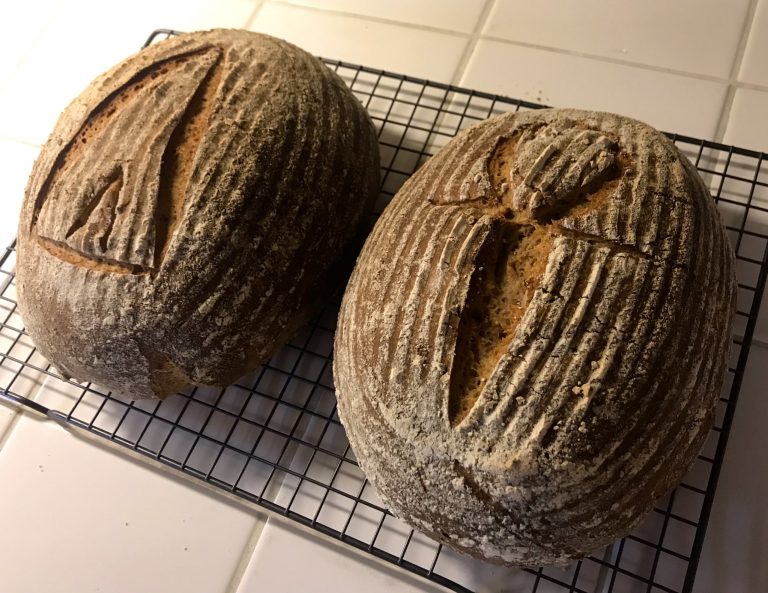 A történelem íze: kovászos kenyér 4500 éves egyiptomi élesztővel