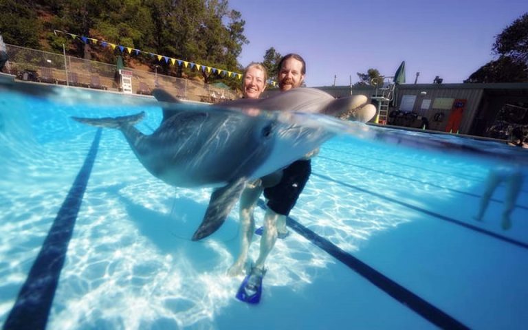 Életnagyságú robotdelfinek jelenthetik a megoldást a delfinvadászatra
