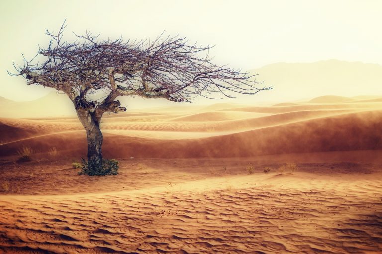 Tényleg sivatagi lesz az éghajlat 2070-re? Így látja a földtudományi professzor