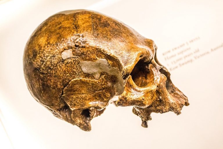Neandervölgyi gének is növelhetik a koronavírus okozta halál kockázatát