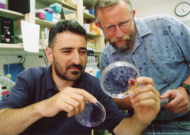 Egy új vírus felfedezői kapták az idei orvosi Nobel-díjat