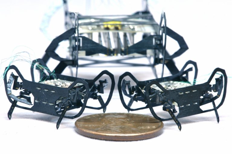 Csótányok ihlették ezt az egyedülálló mikrorobotot