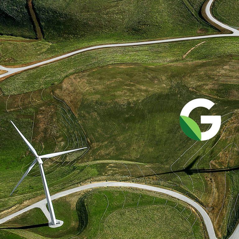 Klímavédelmi projektekre vár a Google tízmillió eurója