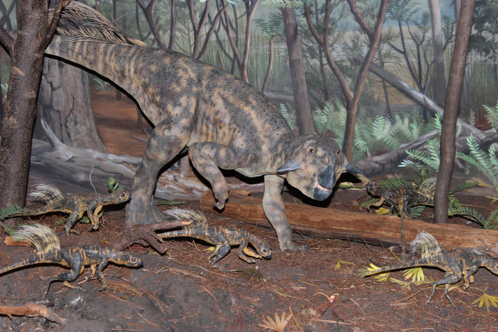 Ép szaporodószervekkel fennmaradt dinoszaurusz kövületet találtak
