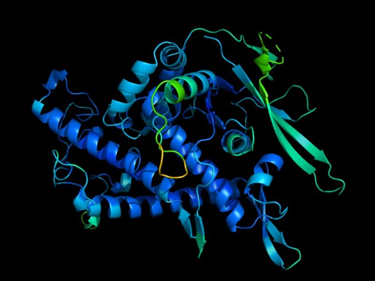 A Deep Mind megfejtette a fehérjék szerkezetének titkát, és ez forradalmasíthatja a biológiát