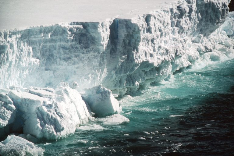 Rejtélyes élőlényeket találtak az Antarktisz jege alatt