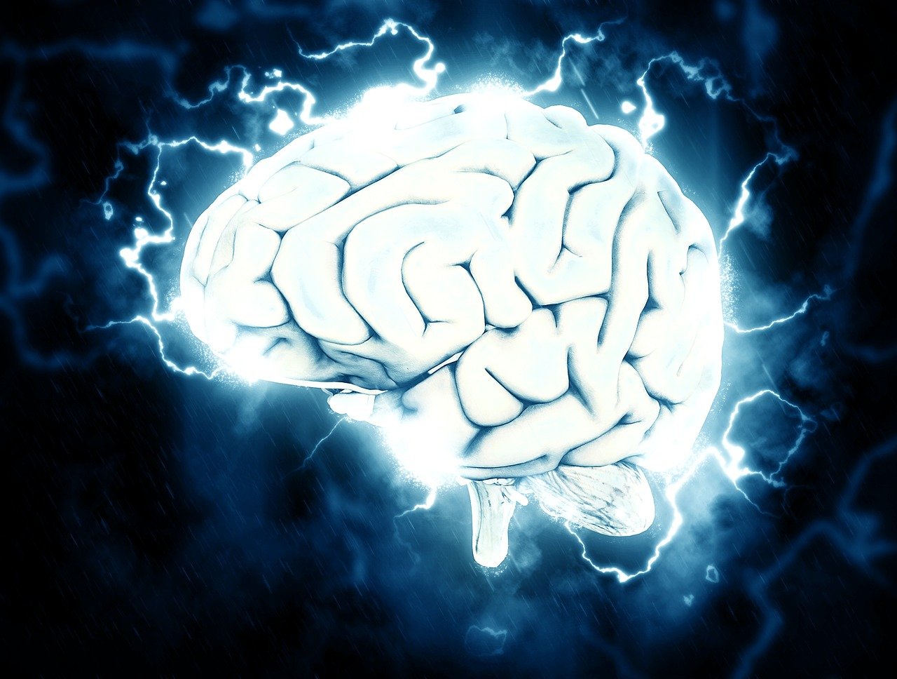 Magyar kutatók fedezték fel az agyunk fenyegetésre reagáló idegsejtjeit