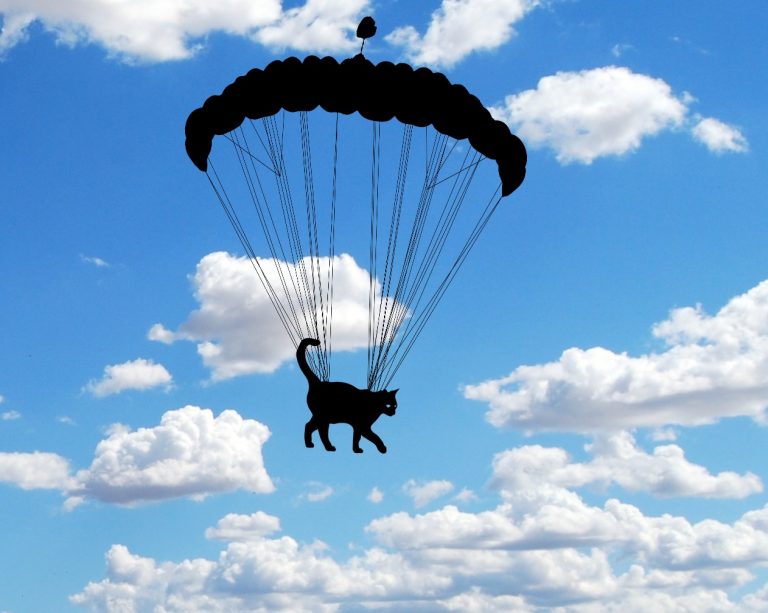 Amikor macskákat kellett ejtőernyővel ledobni, mert a WHO annyira eltolta a járványkezelést