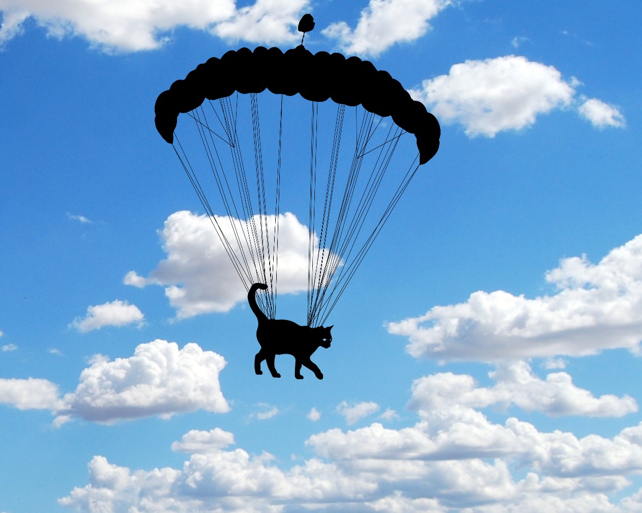 Amikor macskákat kellett ejtőernyővel ledobni, mert a WHO annyira eltolta a járványkezelést