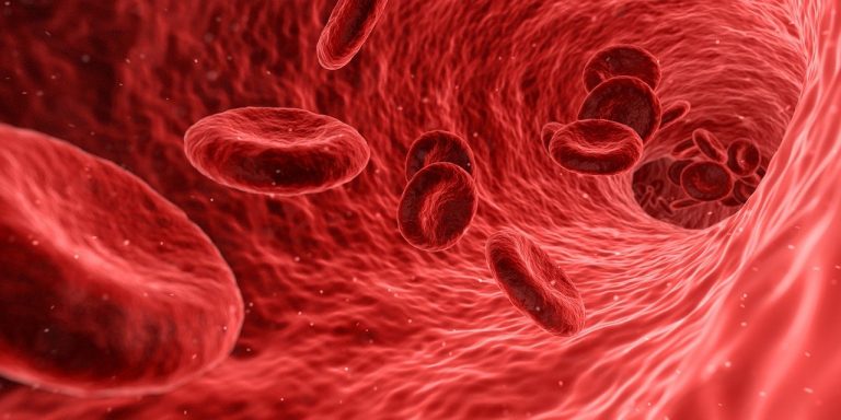 Önállóan életképes mitokondriumokat találtak az emberi vérben