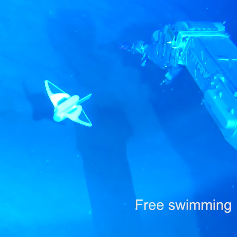 Robothal, amely a Mariana-árokban is képes elúszkálgatni