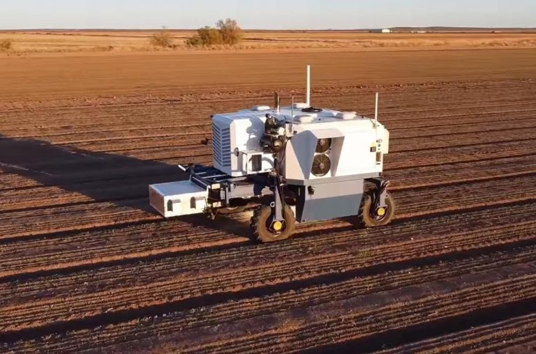 Óránként százezer gyomot tép ki a földből egy mezőgazdasági robot