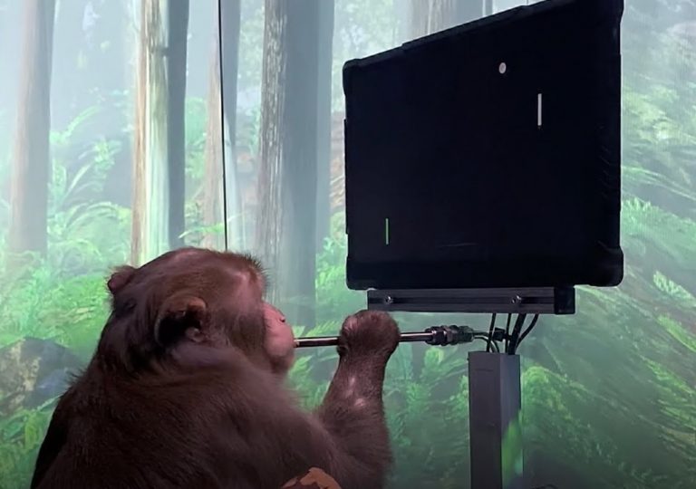 A Neuralink közzétette a videót, amelyben egy majom a gondolataival irányít egy videojátékot
