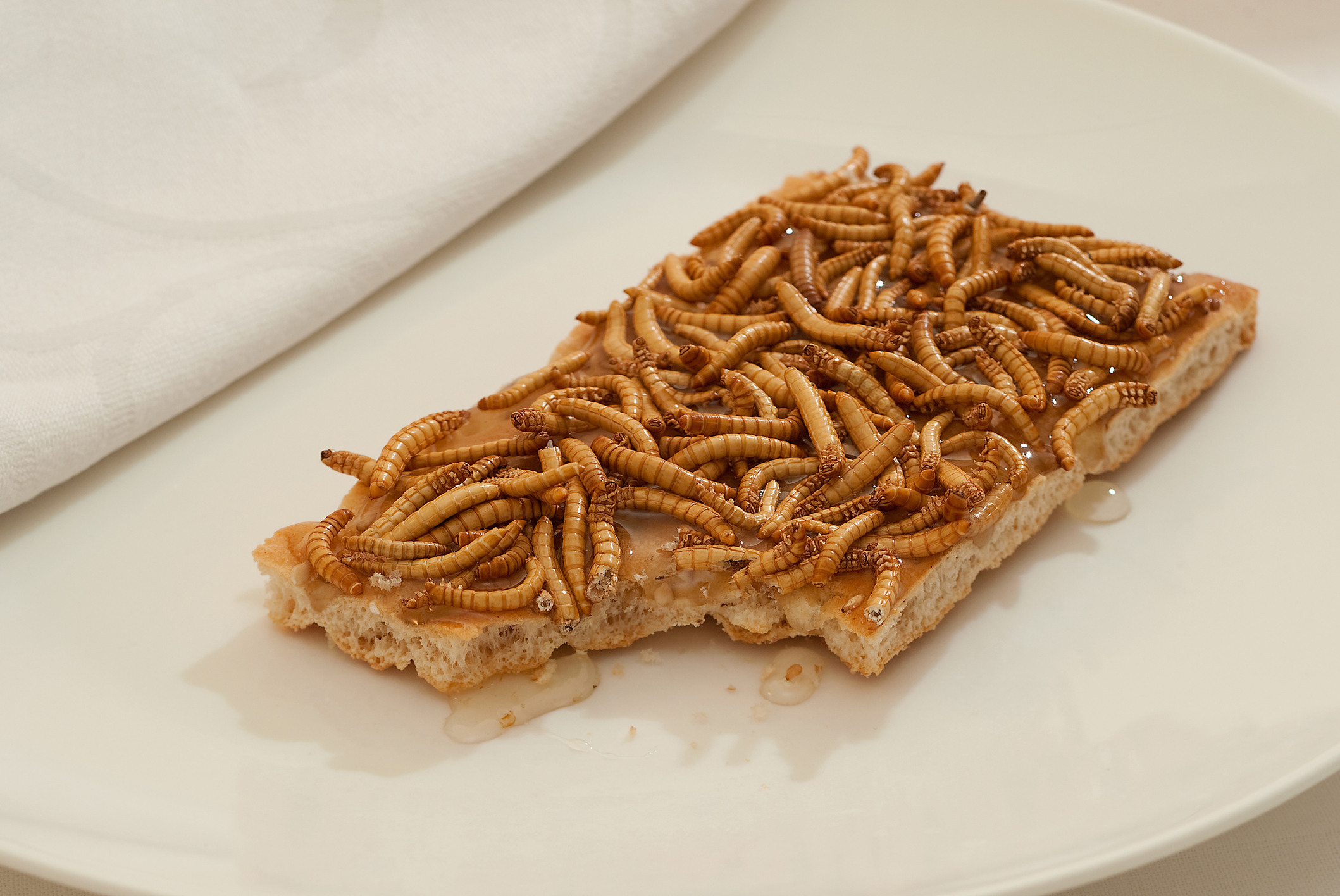 A lisztkukac az első hivatalosan is élelmiszernek minősülő rovar az Európai Unióban