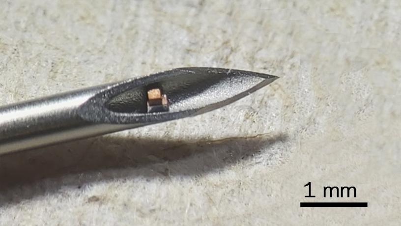 A világ legkisebb beültethető chipje akkora, mint egy porszem, egerekben már működik