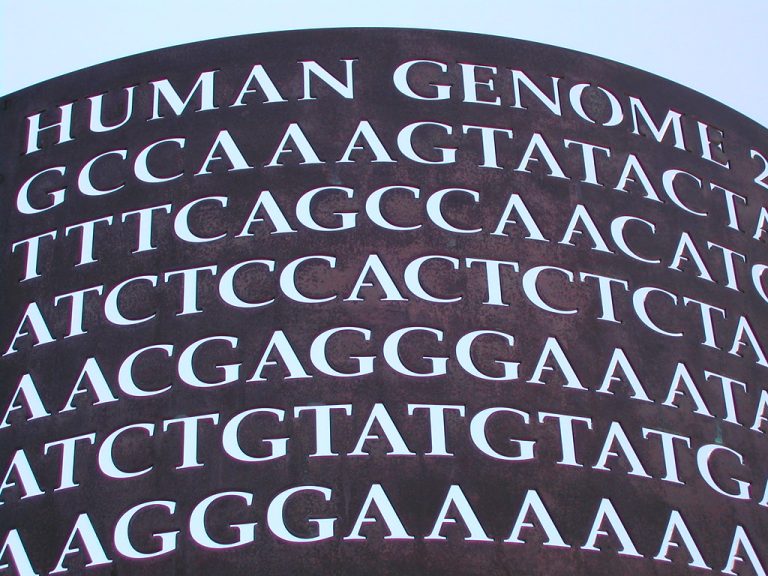 Végre szekvenálhatták a teljes emberi genomot