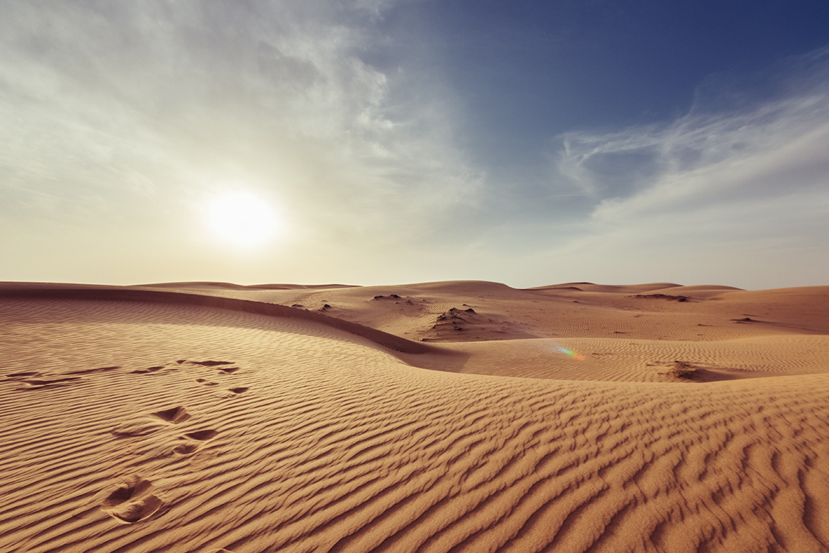 Hét óra alatt termőfölddé változtatja a sivatagi homokot egy dubaji fejlesztésű technológia