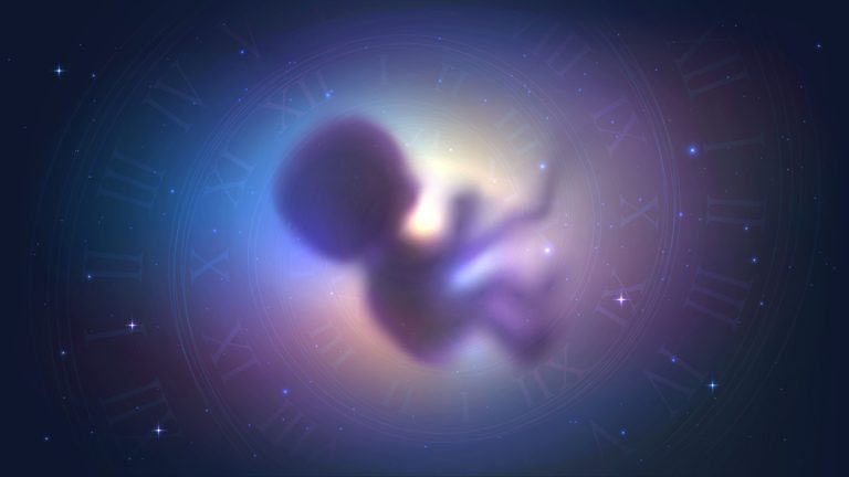 Szex és szülés az űrben: 2040-ben világra jöhet az első kisbaba