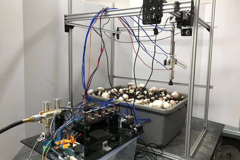 Elkészült a csiperkeszüretelő robot prototípusa