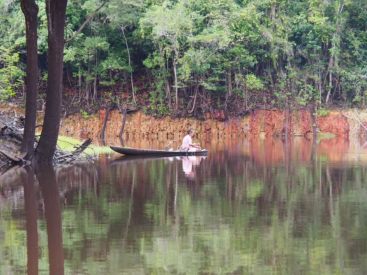 Műholdas technológia segítheti az amazonasi erdőirtások megfékezését