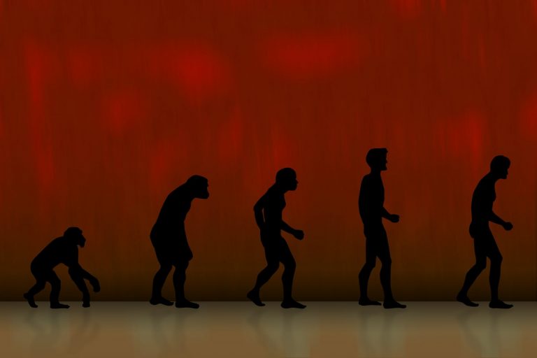 Az amerikaiak többsége már elfogadja az evolúció elméletét