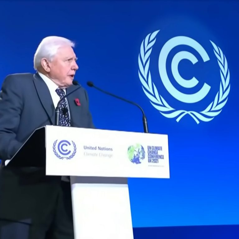 David Attenborough hét és fél percben összefoglalta a klímaválság lényegét