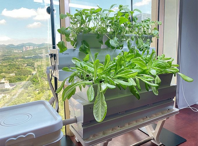 Akár egy hónapig is önállóan gondoskodik a növényekről az új moduláris okoskert