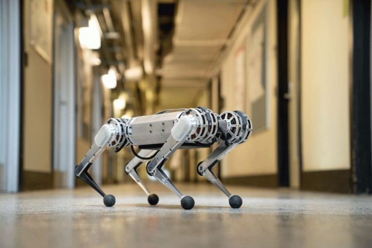 Saját magát tanította meg futni az MIT robotja