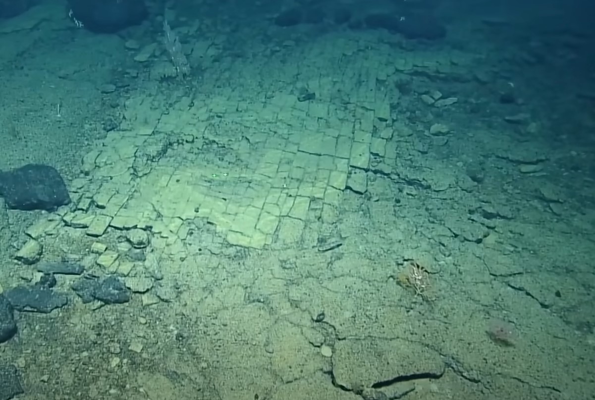 A Nautilus kutatóhajó talált egy „sárga utat” a Csendes-óceán mélyén