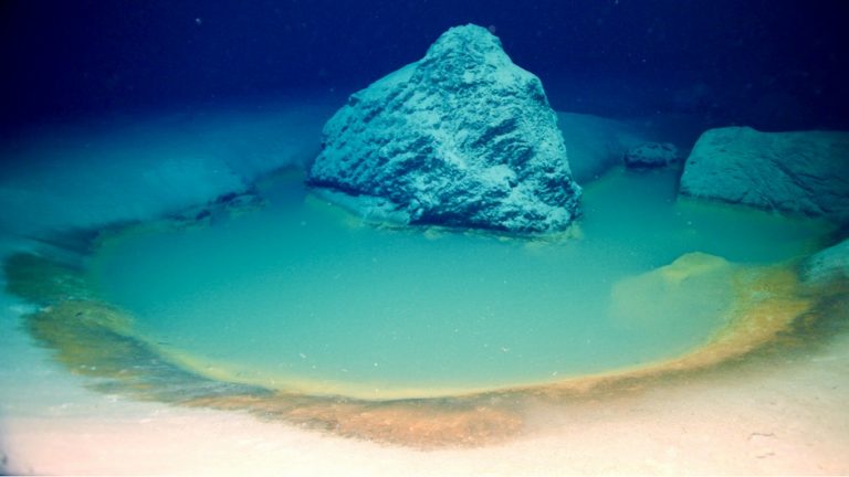 Halálos oázisok lakoznak a tengerek mélyén, ahonnan semmi sem szabadul