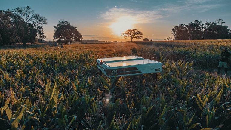 Napelemes, automata robot öli a gyomokat amerikai farmokon