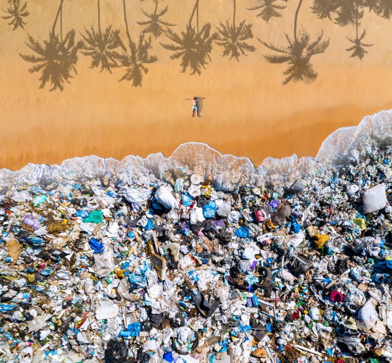 Biomimetikus gépek ehetik meg az óceánokban halmozódó hulladékot