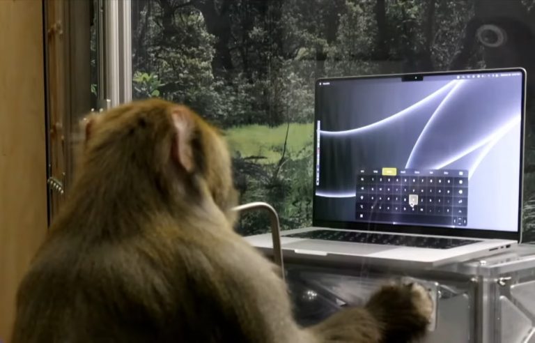 A Neuralink megmutatta, hogyan ír egy majom a gondolatai segítségével