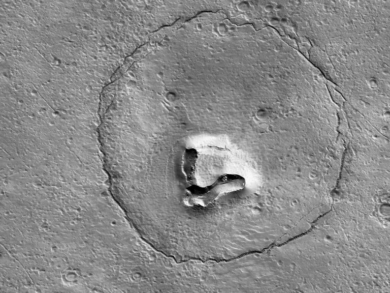 Mackóarcot találtak a Marson