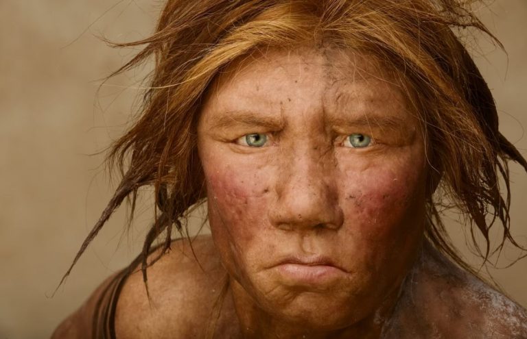 A velünk vívott háború, vagy a klímaváltozás okozhatta a neandervölgyiek kihalását?