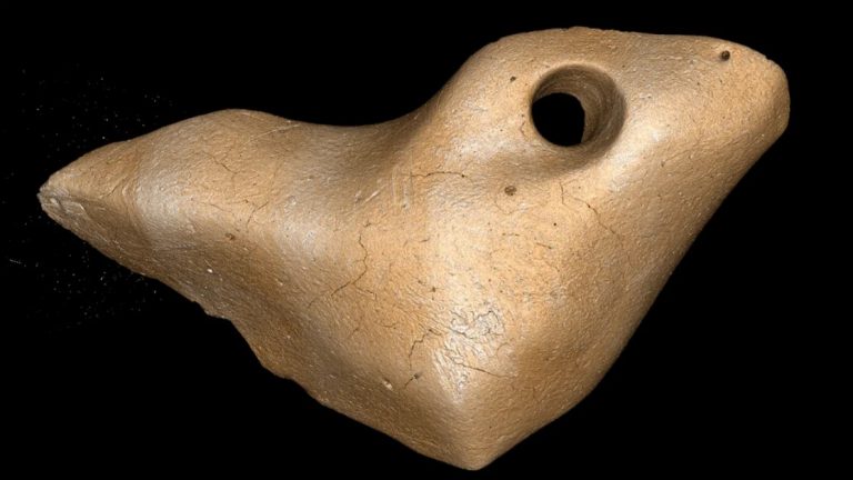Óriáslajhárok csontjából készült, 27 ezer éves ékszereket találtak Brazíliában