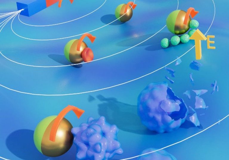 Különbséget tud tenni a haldokló és egészséges sejtek között az egyetlen sejt méretű mikrobot