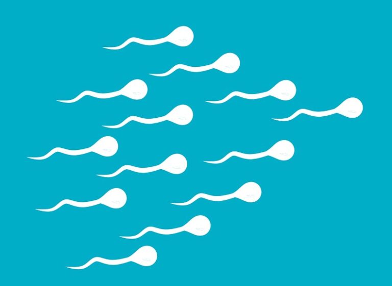Az emberi spermium megszegi a fizika egyik legfontosabb mozgástörvényét