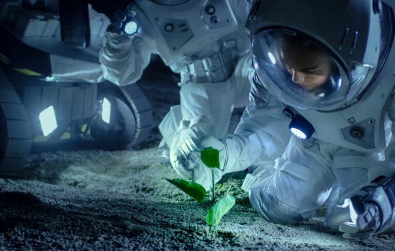 A majdnem lehetetlen küldetés - növényeket termesztenek hold-, és marstalajban magyar kutatók