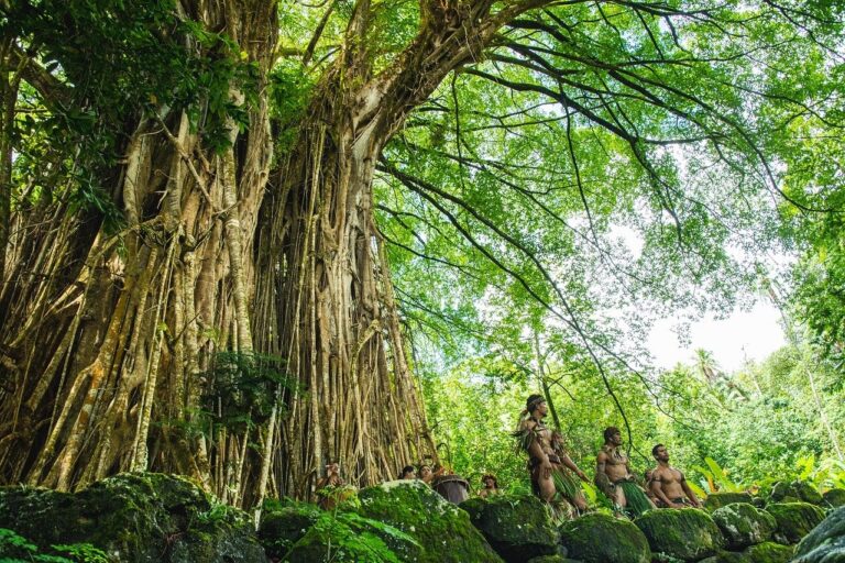 Banyánfa: az ősi, “sétáló, kannibál” fa