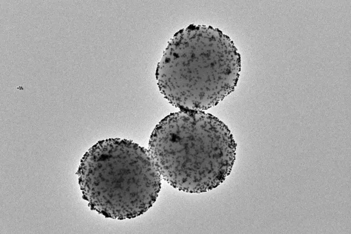 Vizelet hajtja a rák ellen sikerrel küzdő nanogépezeteket