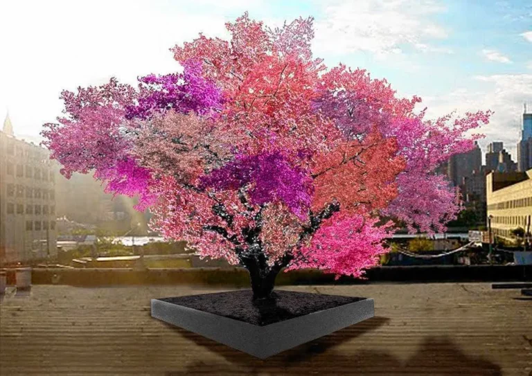 A frankensteini fa, amin negyven különböző gyümölcstípus terem egyszerre, emberi beavatkozás műve
