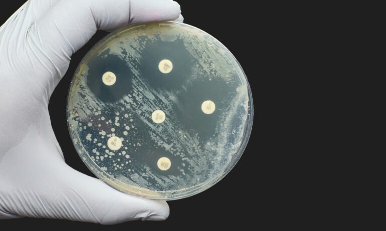 Szuperbaktériumokat teremthetnek az újfajta antibiotikumok