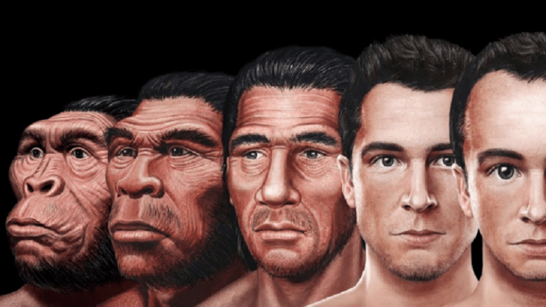 Így változik az emberi arc a következő százezer évben az evolúció tükrében
